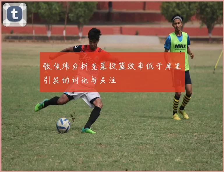 张佳玮分析克莱投篮效率低于库里引发的讨论与关注