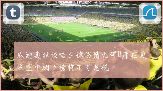 瓜迪奥拉谈哈兰德伤情无碍B席在更衣室中树立榜样不可忽视